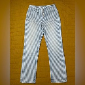 Pilcro & the Letterpress | Railroad Stripe Straight Leg Jeans | 29